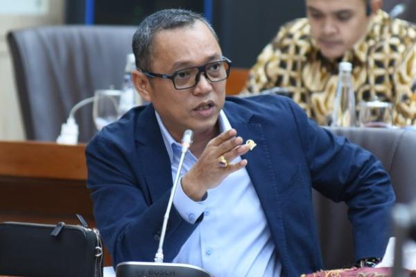 Deddy PDIP Minta Pemerintah Mobilisasi Sumber Daya Maksimal Atasi Karhutla
