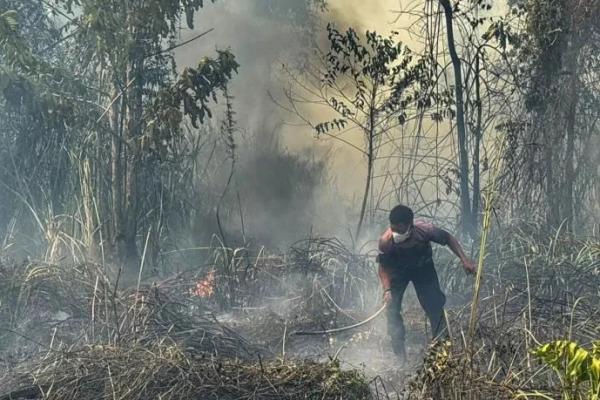 1.923 Titik Panas Terdeteksi di Papua Tengah, Nabire Paling Banyak