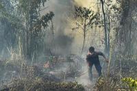 1.923 Titik Panas Terdeteksi di Papua Tengah, Nabire Paling Banyak