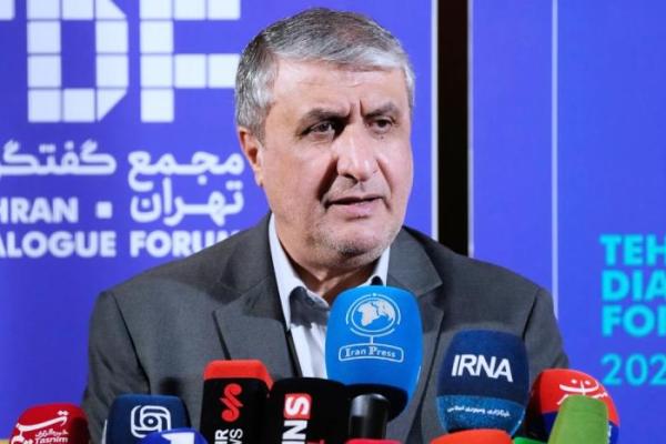 Pemimpin Nuklir Iran Batal Hadiri Konferensi IAEA di Wina