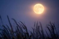 Harvest Moon 2026 Muncul di Akhir September, Purnama di Sekitar Ekuinoks