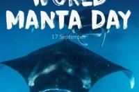 Hari Manta Sedunia Setiap 17 September, Ini Sejarah hingga Maknanya