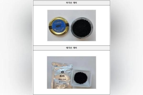 Sajikan Semut Kering, Restoran Michelin di Seoul Kena Sanksi