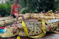 Buaya 400 Kg Dievakuasi dari Penangkaran di Kuil Thailand