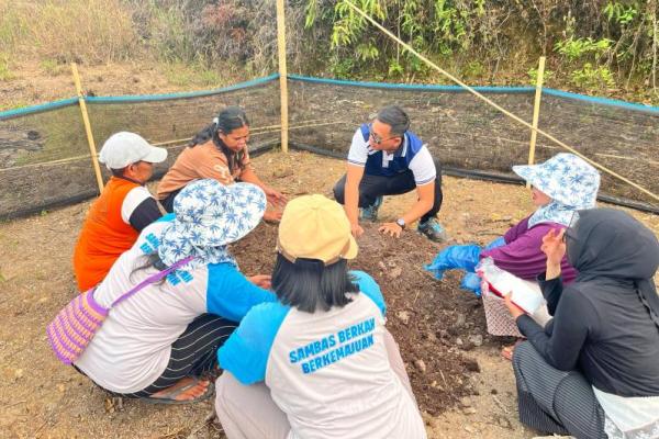 Transmigran di Sambas dan TEP UI Sulap Lahan Tandus Jadi Pekarangan