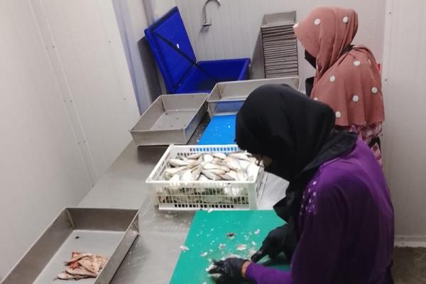 KNMP Dongkrak Harga Produk Perikanan Nelayan di Lampung Selatan