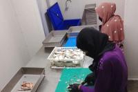 KNMP Dongkrak Harga Produk Perikanan Nelayan di Lampung Selatan
