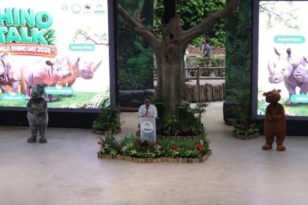 Kabar Baik dari Way Kambas, Dua Badak Sumatera Ratu dan Delilah Bunting
