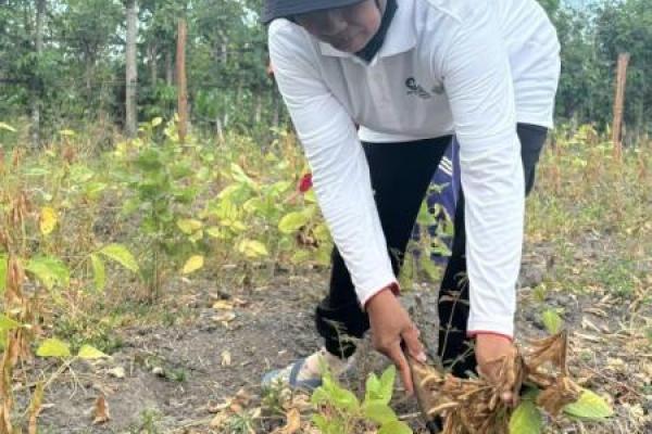 Dari Lahan-Meja Makan, Kolaborasi Perkuat Keberlanjutan Ekosistem Kedelai